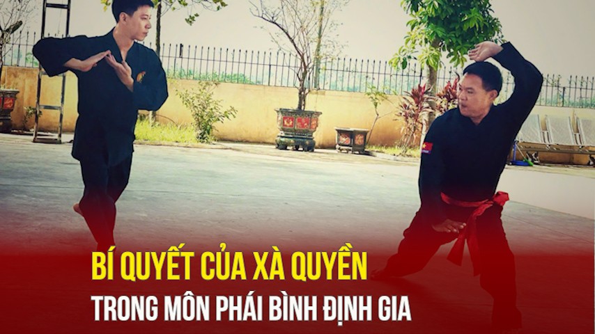 Bí quyết của Xà quyền trong môn phái Bình Định Gia
