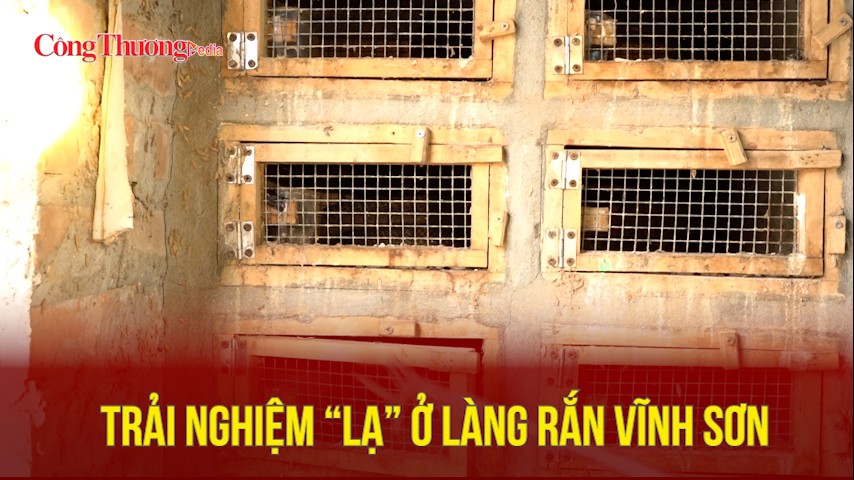 Trải nghiệm lạ ở làng rắn Vĩnh Sơn