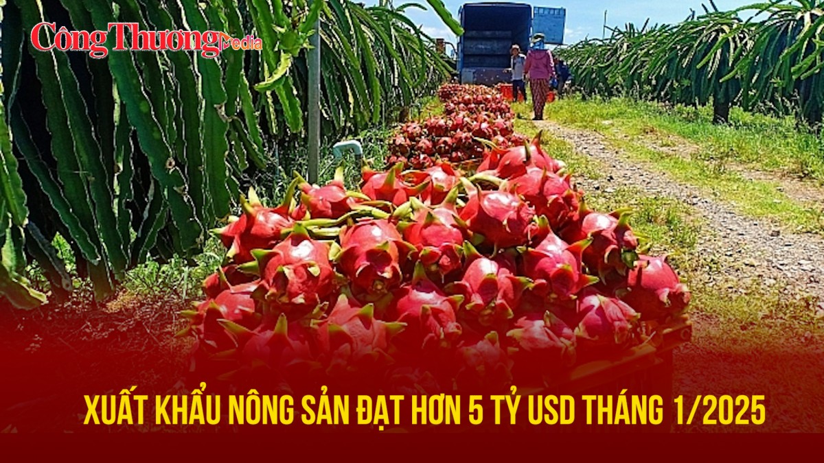 Xuất khẩu nông sản đạt hơn 5 tỷ USD tháng 1/2025