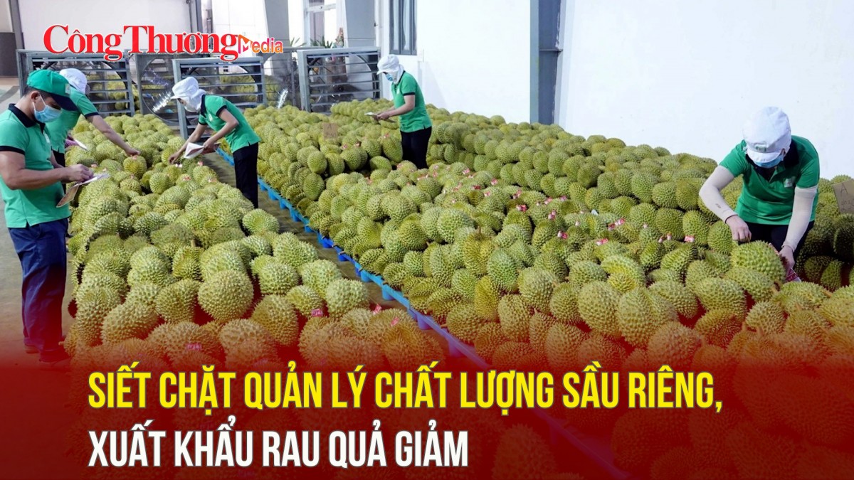 Siết chặt quản lý chất lượng sầu riêng, xuất khẩu rau quả giảm