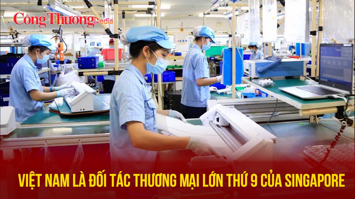 Việt Nam là đối tác thương mại lớn thứ 9 của Singapore
