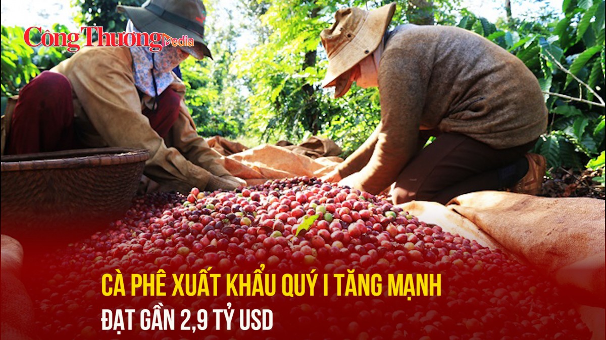 Cà phê xuất khẩu quý I tăng mạnh, đạt gần 2,9 tỷ USD