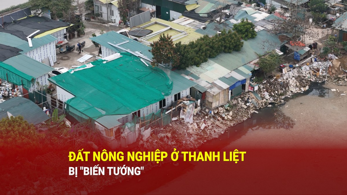 Hà Nội: Đất nông nghiệp ở xã Thanh Liệt bị ''biến tướng'' thành nhà xưởng