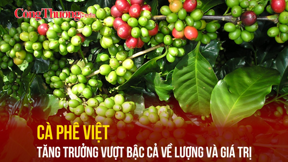 Cà phê Việt tăng trưởng vượt bậc cả về lượng và giá trị