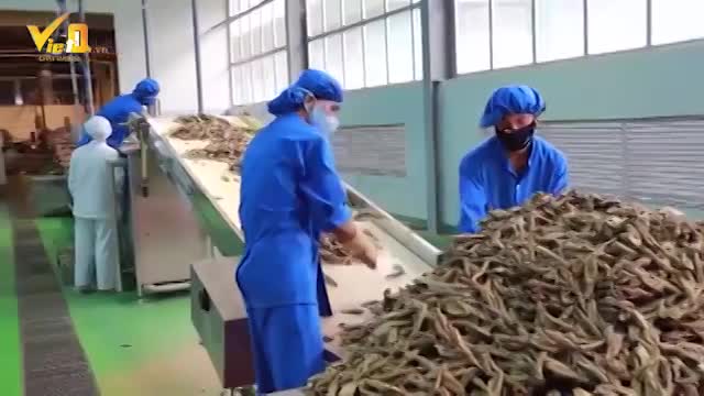 Công cụ hỗ trợ nâng cao năng suất chất lượng mang lại hiệu quả thiết thực cho doanh nghiệp