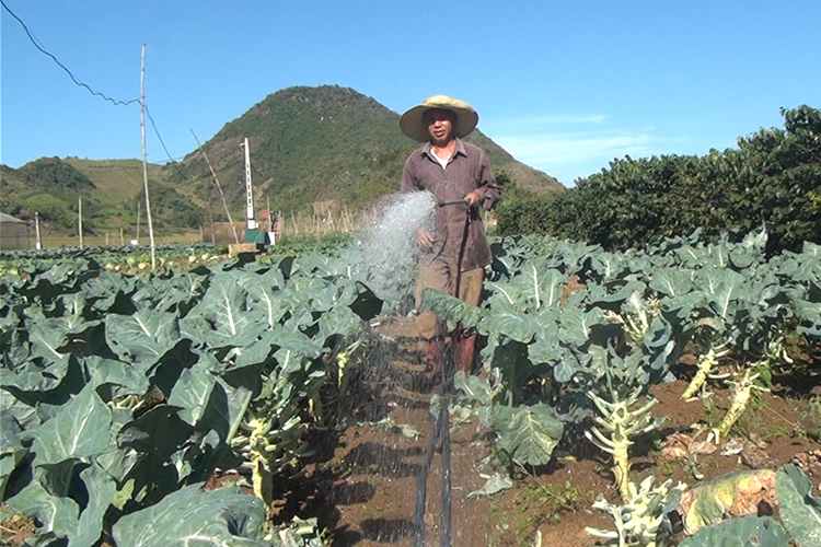 Sơn La: Phát triển nông nghiệp an toàn – hướng đi bền vững