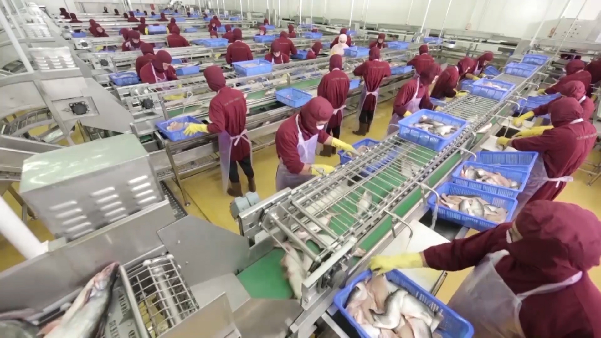 Cập nhật tin tức, thị trường, xuất nhập khẩu ngày 14-5