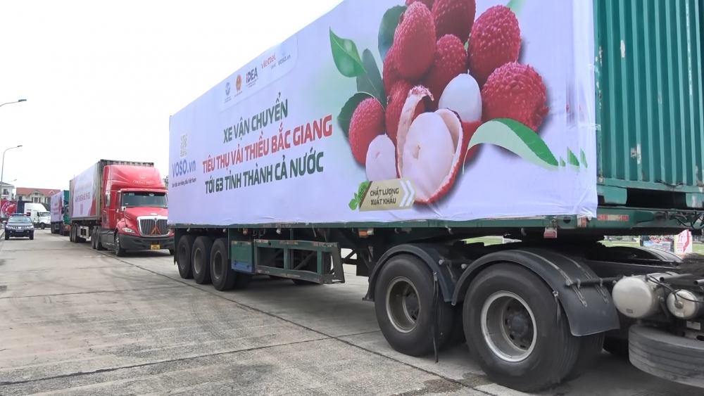 Cập nhật tin tức, thị trường, xuất khẩu ngày 10-6-2021