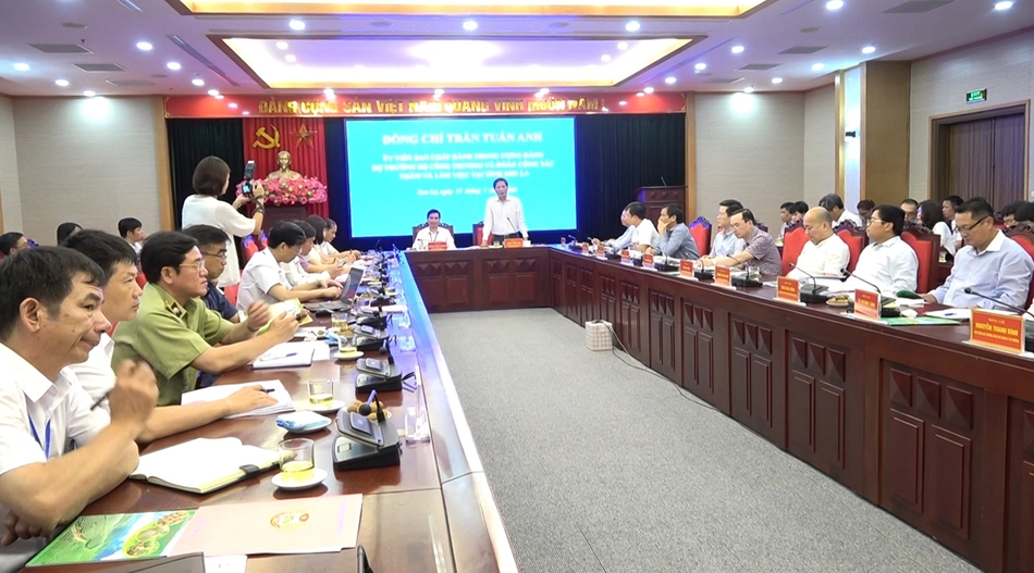 Cập nhật tin tức, thị trường, xuất khẩu ngày 20-7