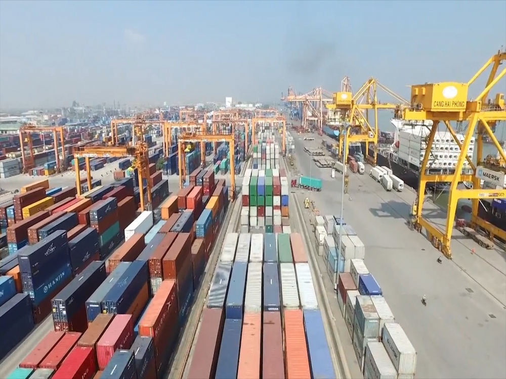 Cập nhật tin tức, thị trường, xuất khẩu ngày 8-11-2021