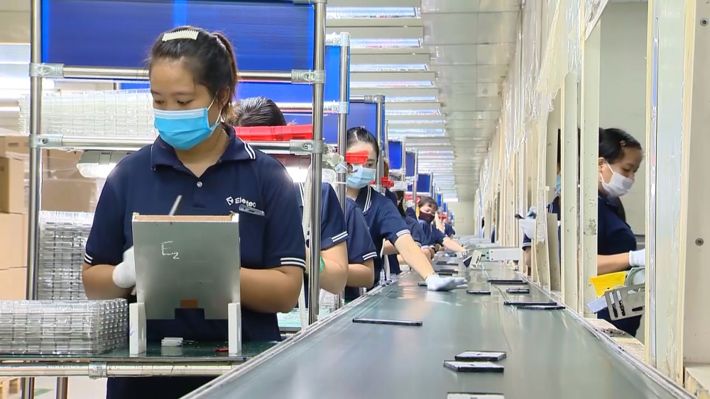 Cập nhật tin tức, thị trường, xuất khẩu ngày 11-11-2021