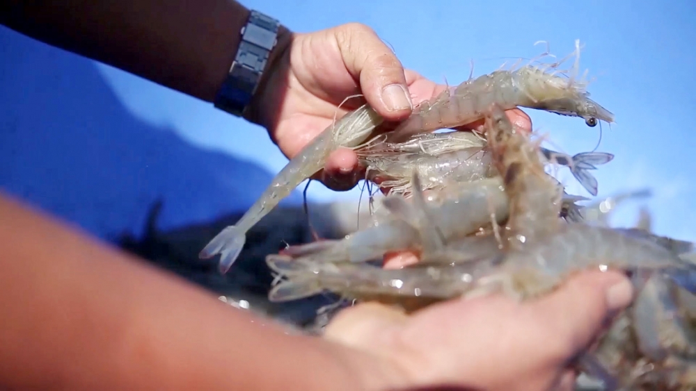 Cập nhật tin tức, thị trường, xuất khẩu ngày 22-3-2021