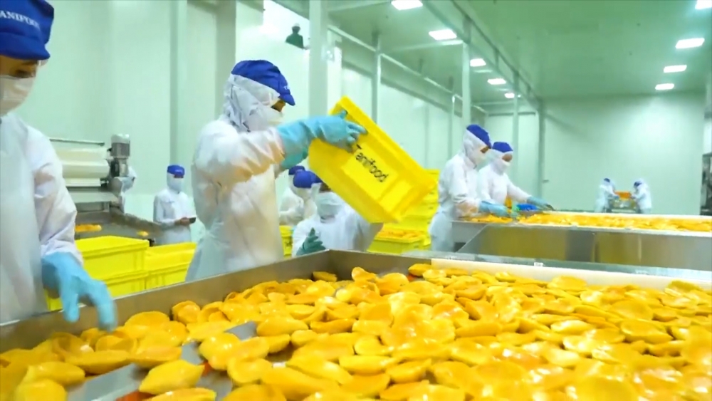 Cập nhật tin tức, thị trường, xuất khẩu ngày 5-4-2021