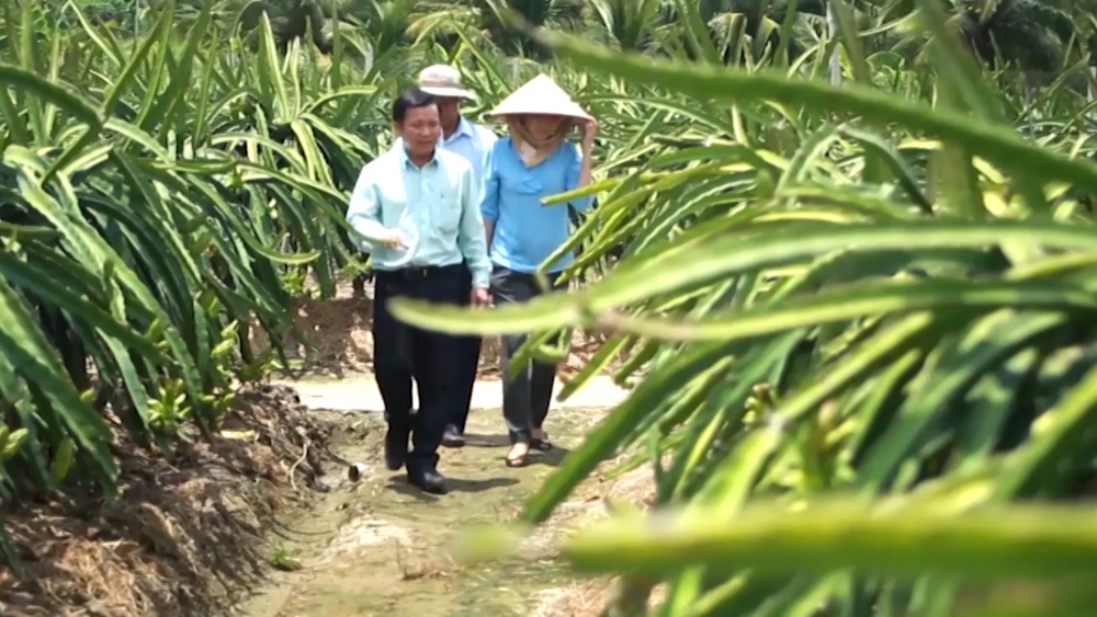 Cập nhật tin tức, thị trường, xuất khẩu ngày 24-5-2021