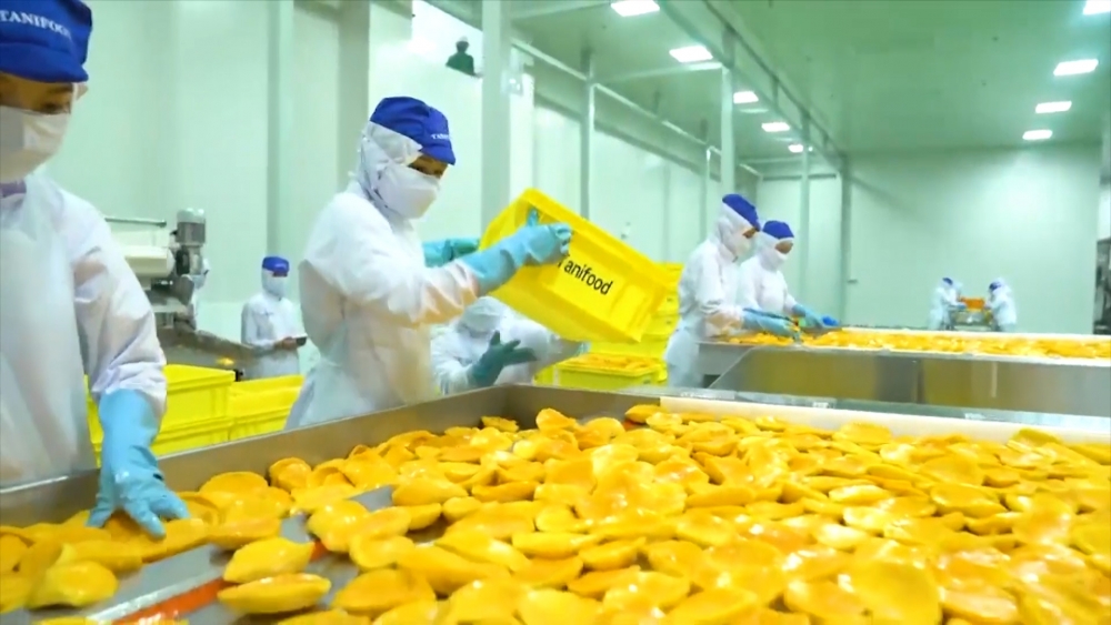 Cập nhật tin tức, thị trường, xuất khẩu ngày 7-6-2021