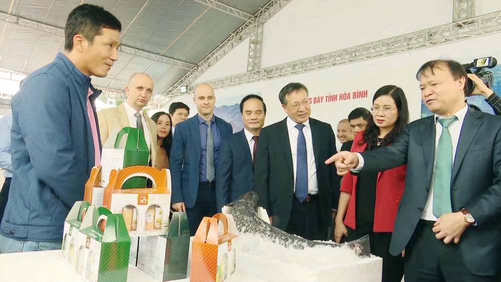 Cập nhật tin tức, thị trường, xuất khẩu ngày 9-11