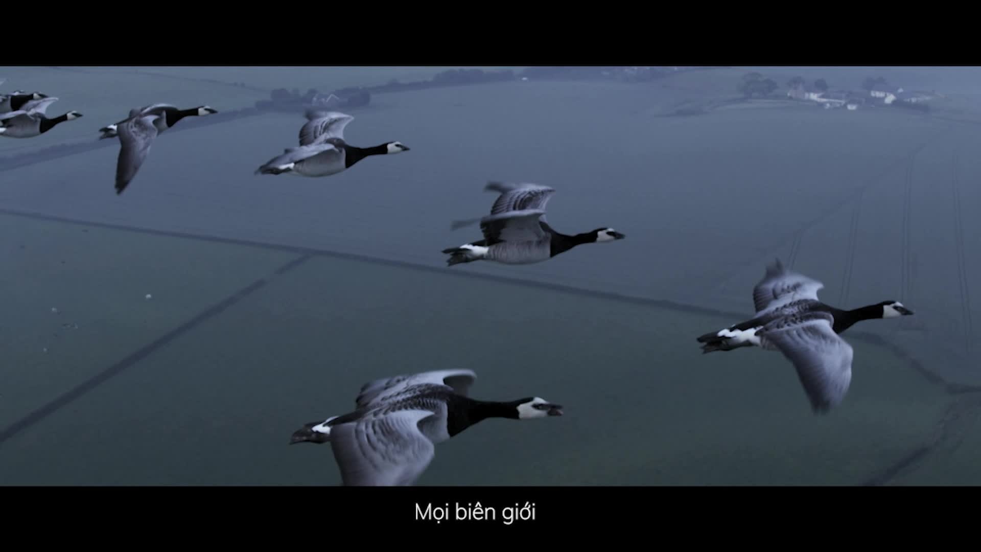 Hãng truyền thông số 1 thế giới AKQA phá vỡ tiền lệ vì VinFast