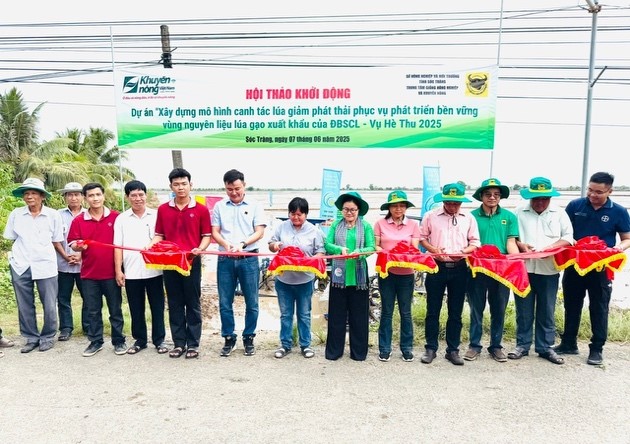 Bình Điền đẩy mạnh Dự án xây dựng mô hình canh tác lúa giảm phát thải