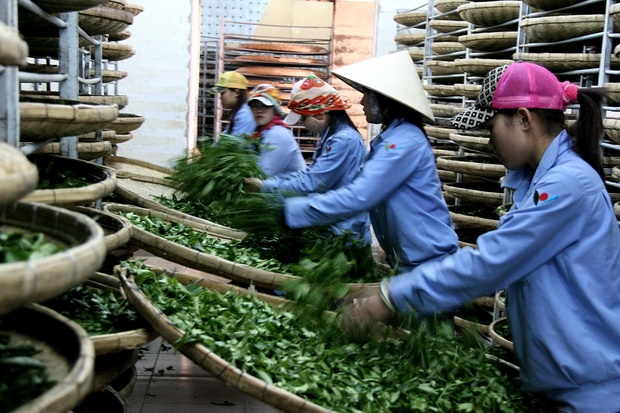 Phát triển chuỗi giá trị nông sản an toàn trong nông thôn mới