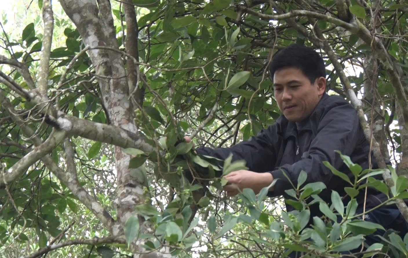 Người phụ nữ “nâng hương hồi” cho vùng cao Lạng Sơn