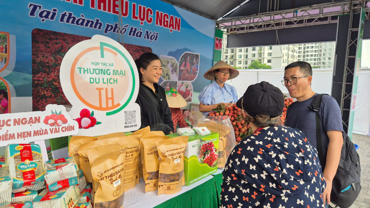 Đưa sản phẩm vải thiều Lục Ngạn chất lượng cao phục vụ người dân Thủ đô 