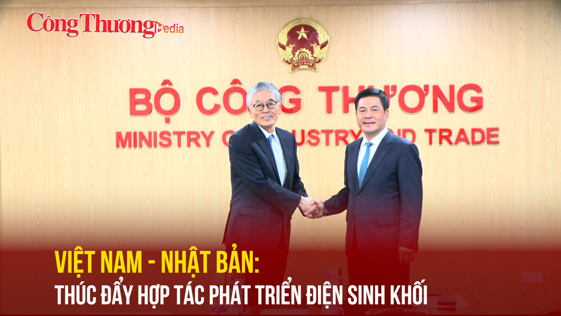Việt Nam - Nhật Bản: Thúc đẩy hợp tác phát triển điện sinh khối