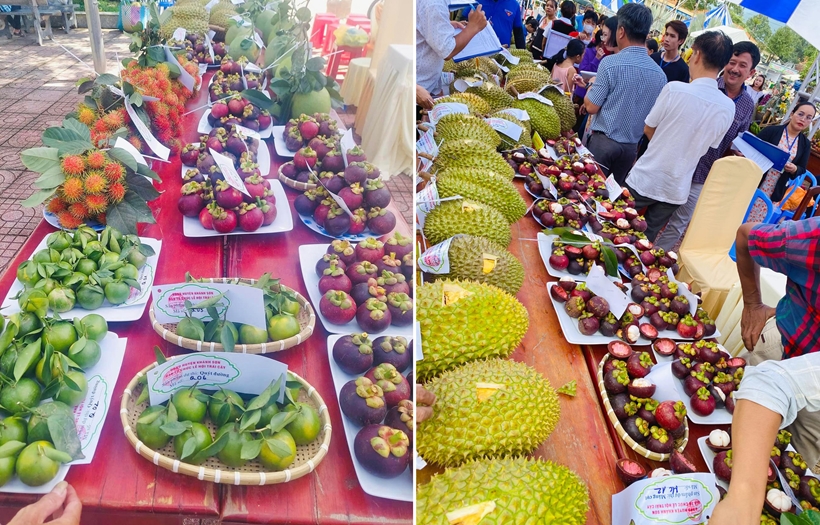 Đẩy mạnh chuỗi giá trị, mở rộng thị trường tiêu thụ trái cây miền núi