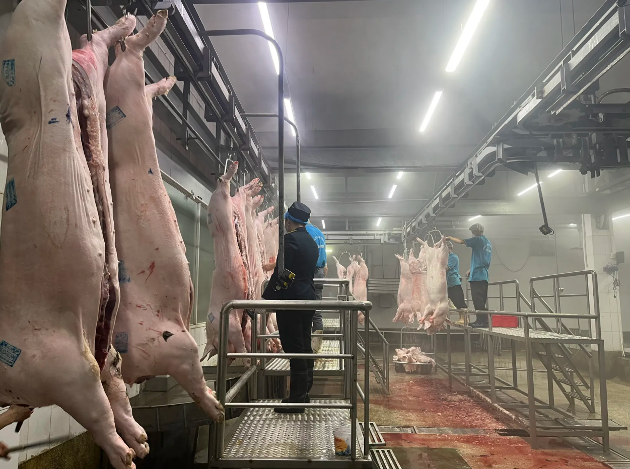 Hơn 18.000 cơ sở giết mổ hoạt động không phép