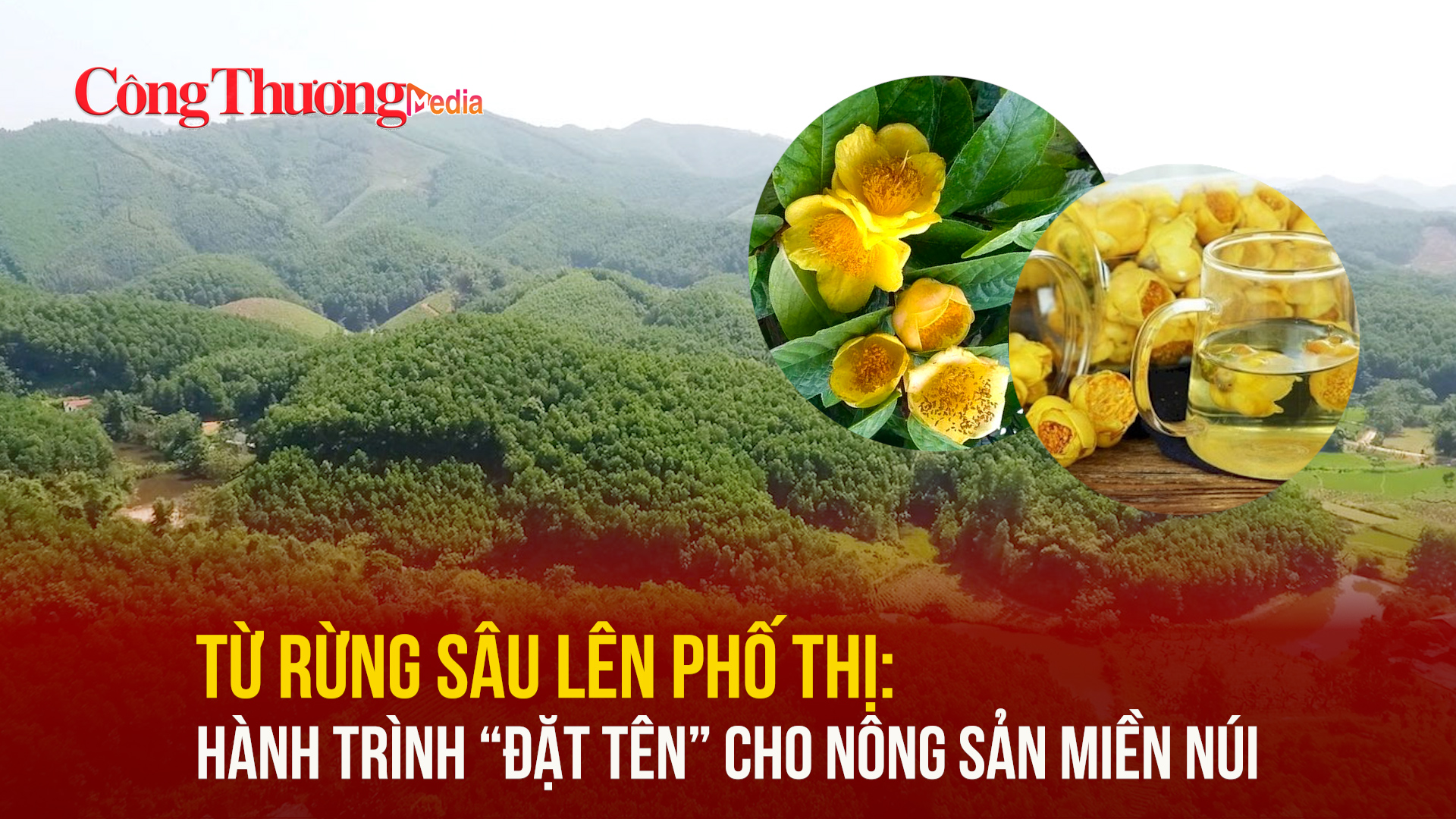 Từ rừng sâu lên phố thị: Hành trình “đặt tên” cho nông sản miền núi