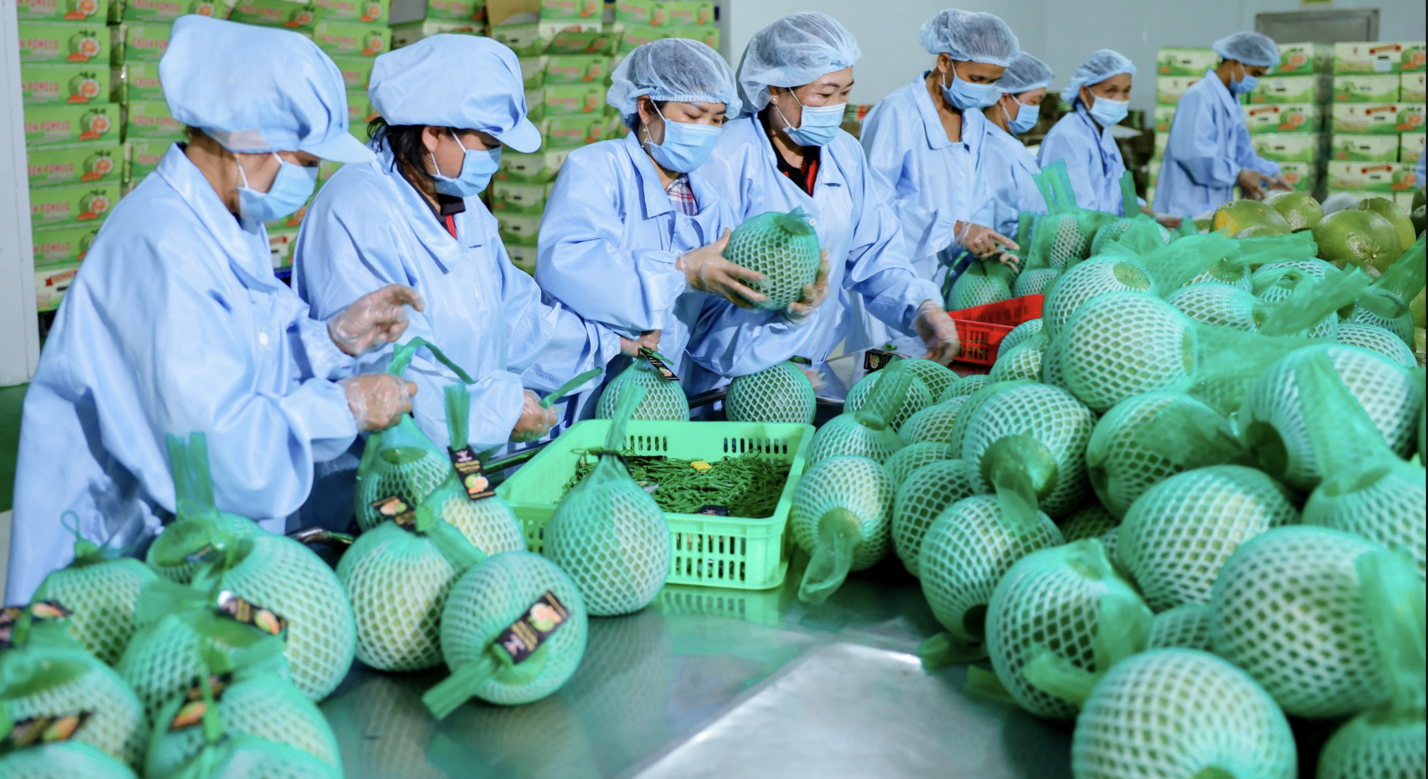 Động lực đưa thương mại Việt Nam - Hàn Quốc đạt 150 tỷ USD vào năm 2030