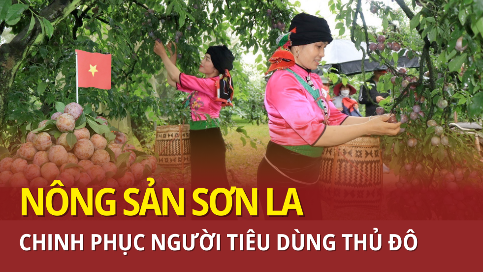 Nông sản Sơn La chinh phục người tiêu dùng Thủ đô