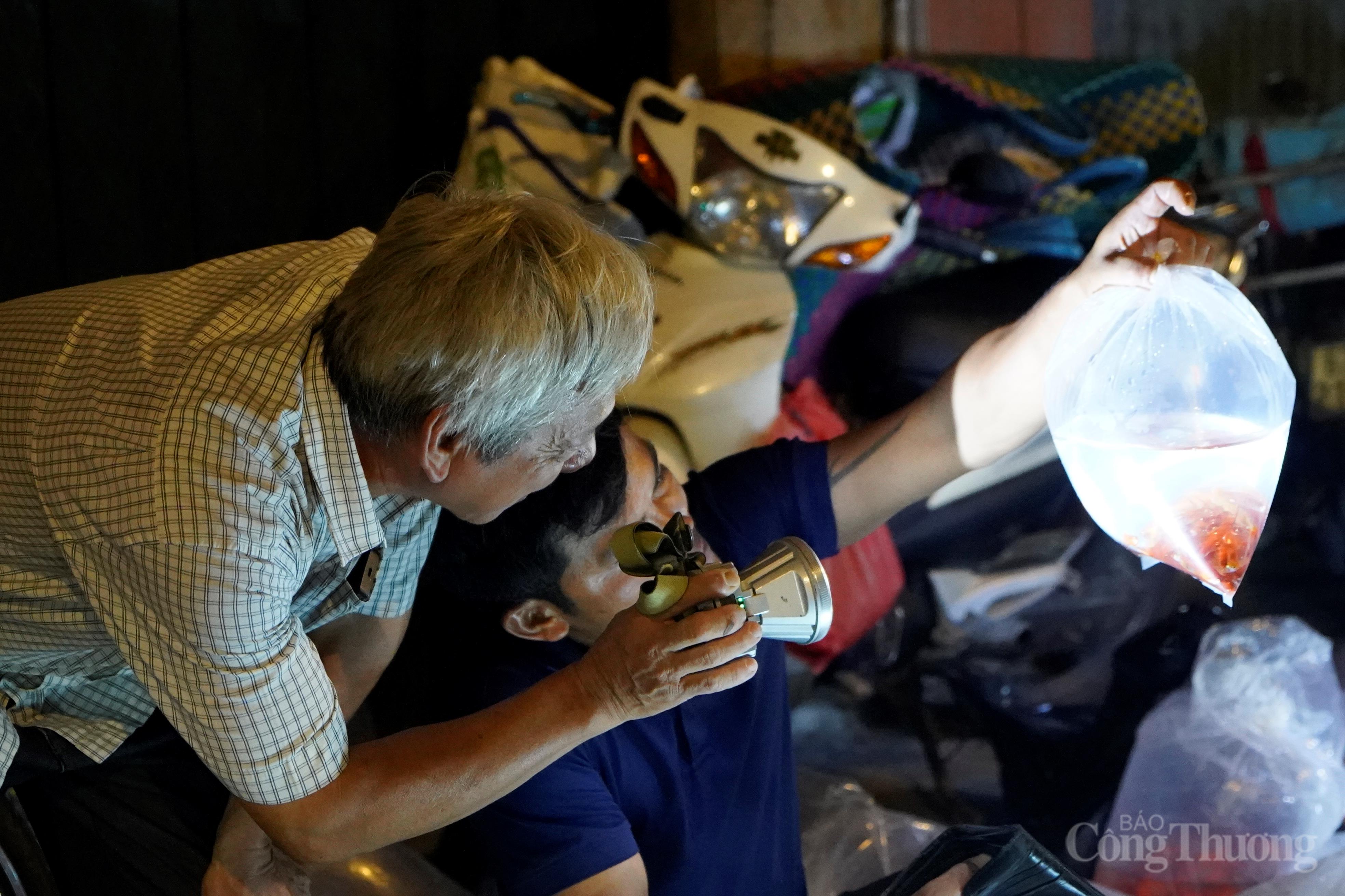 TP. Hồ Chí Minh: Theo chân thương lái săn cá cảnh ở 'chợ âm phủ' 