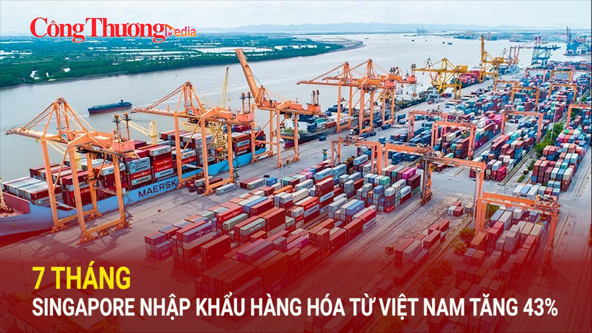 7 tháng, Singapore nhập khẩu hàng hóa từ Việt Nam tăng 43%