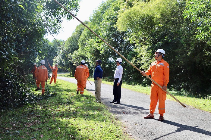 Điện lực Hà Tĩnh tổng lực bảo vệ lưới điện, ứng phó bão số 5