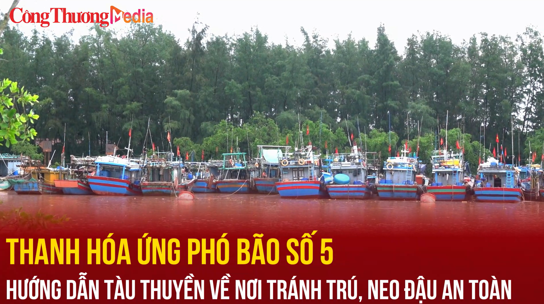Thanh Hóa: Hướng dẫn tàu thuyền về nơi tránh trú, neo đậu an toàn