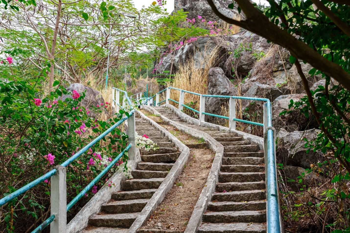 Đồi Tức Dụp: Viên ngọc đỏ giữa lòng Thất Sơn huyền thoại 