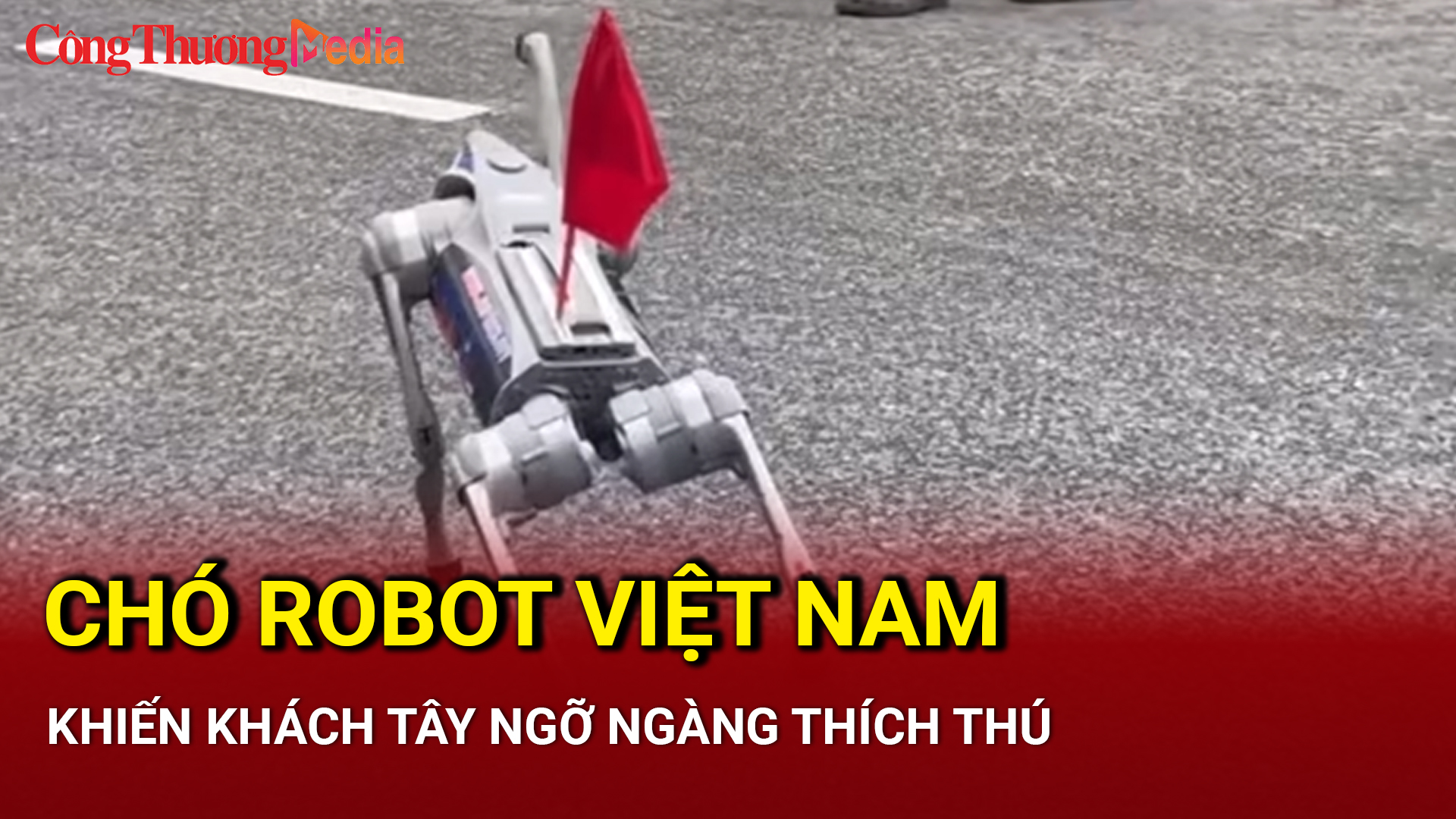 Chó Robot Việt Nam khiến khách Tây ngỡ ngàng thích thú