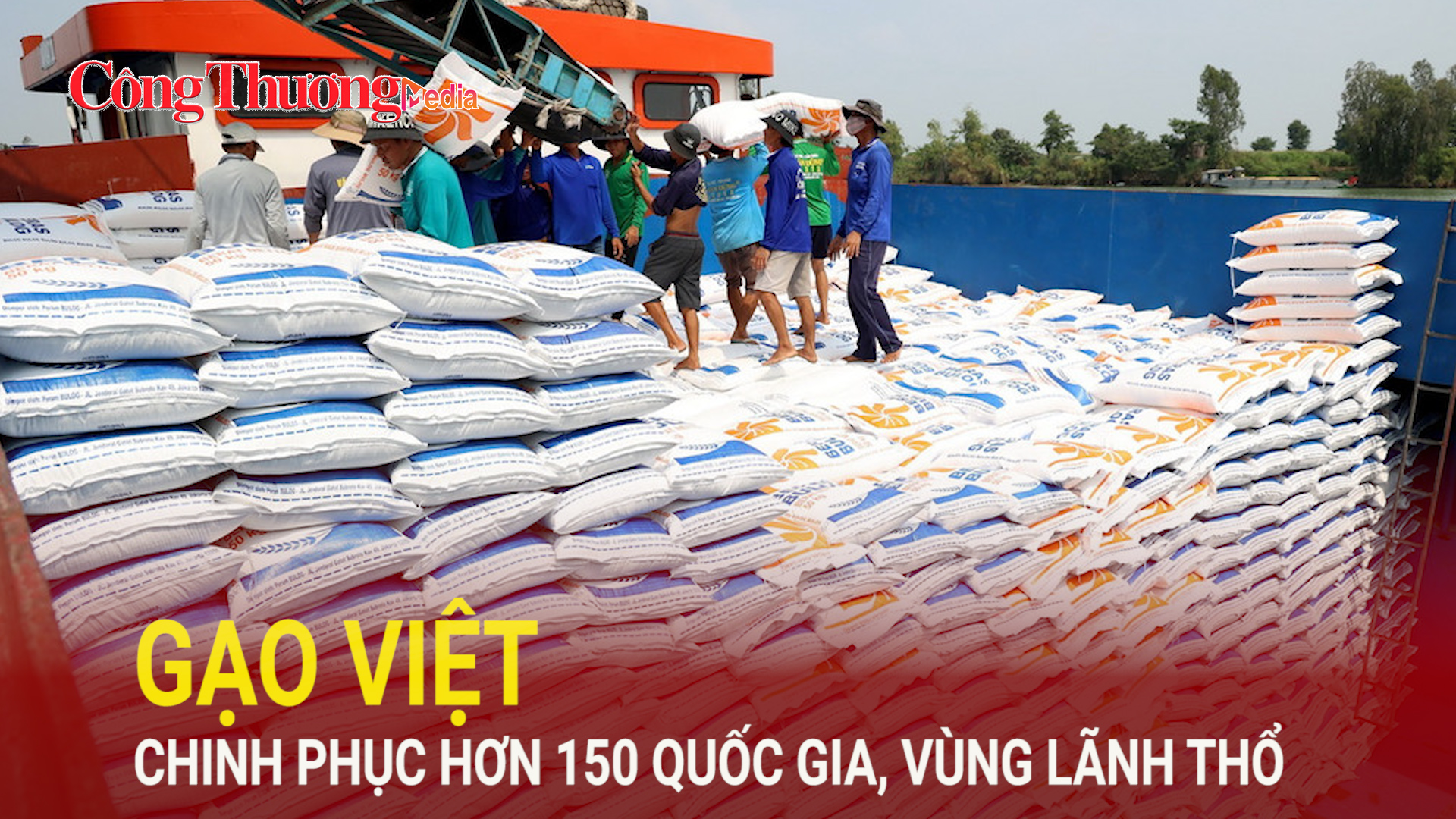 Gạo Việt chinh phục hơn 150 quốc gia, vùng lãnh thổ