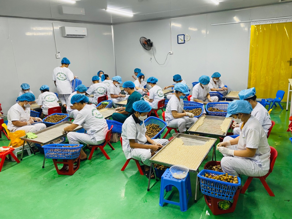 Liên kết doanh nghiệp: 'Bệ phóng' đưa công nghiệp Hưng Yên 'cất cánh'