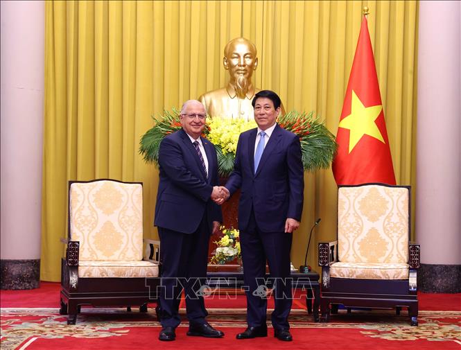 Chủ tịch nước Lương Cường tiếp Bộ trưởng Quốc phòng Thổ Nhĩ Kỳ