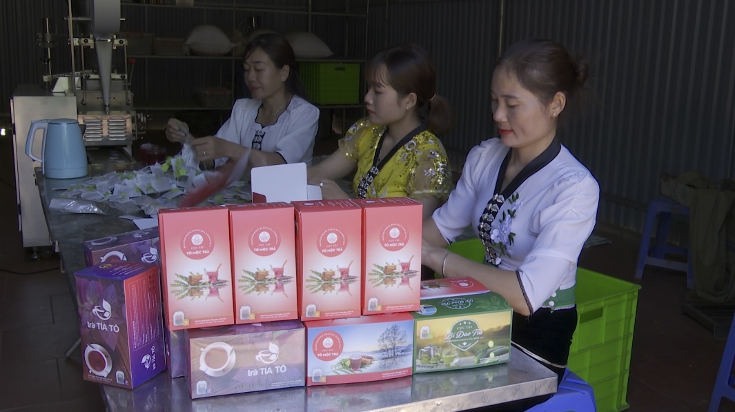 Chuỗi liên kết: Chìa khóa để nông sản miền núi chinh phục thị trường