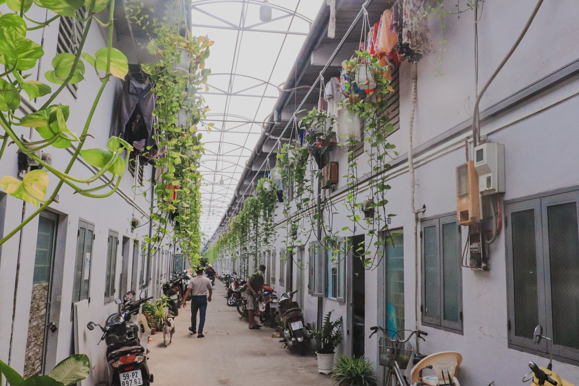 TP.Hồ Chí Minh: Nhu cầu thuê trọ mùa tựu trường tăng vọt