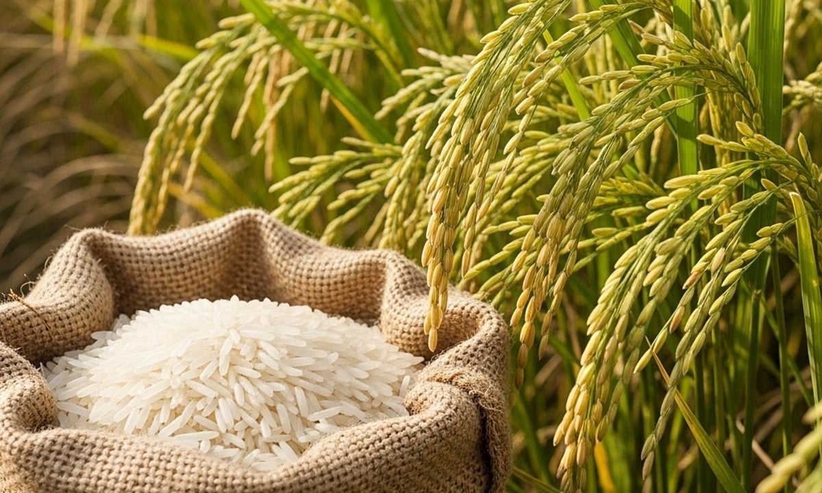 Vì sao lúa gạo là 'linh hồn' trong tín ngưỡng của Việt Nam?