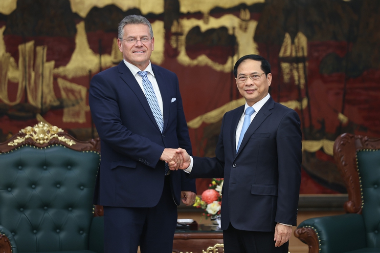 Việt Nam - EU mở rộng hợp tác năng lượng tái tạo, công nghiệp bán dẫn