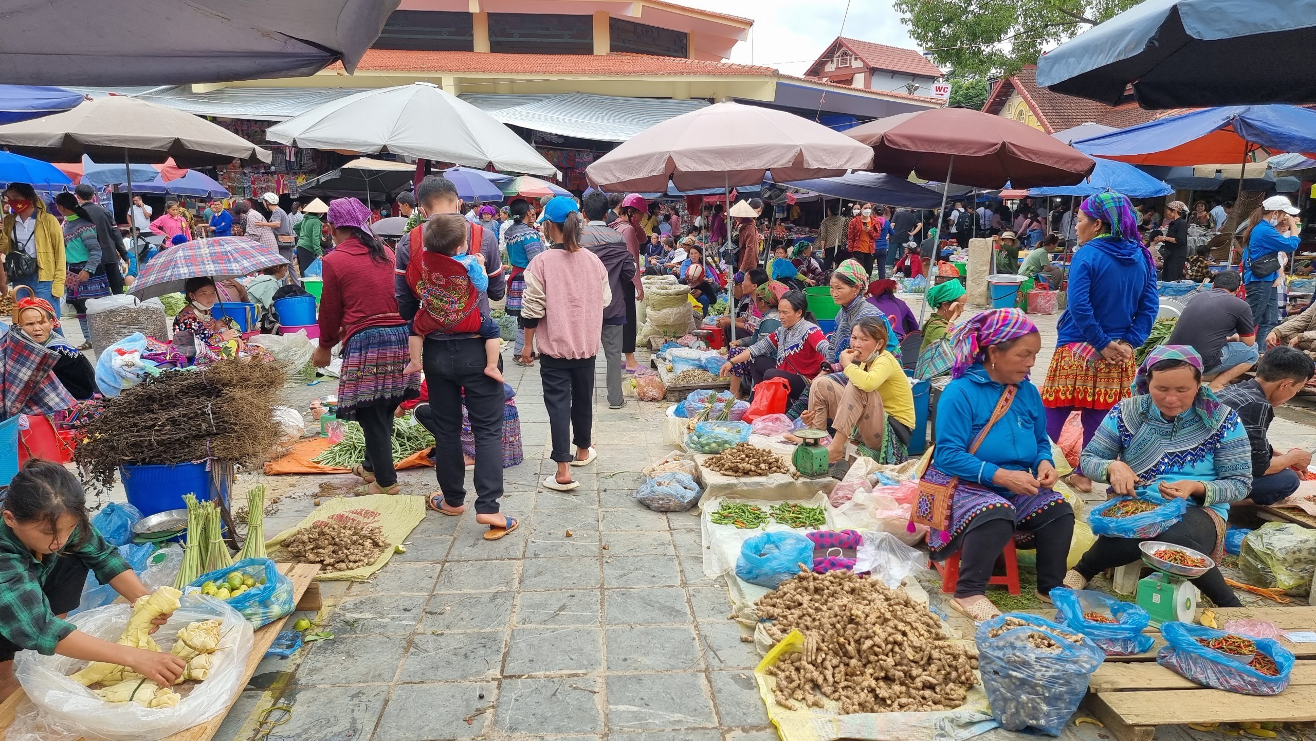 Trải nghiệm khó quên miền biên viễn