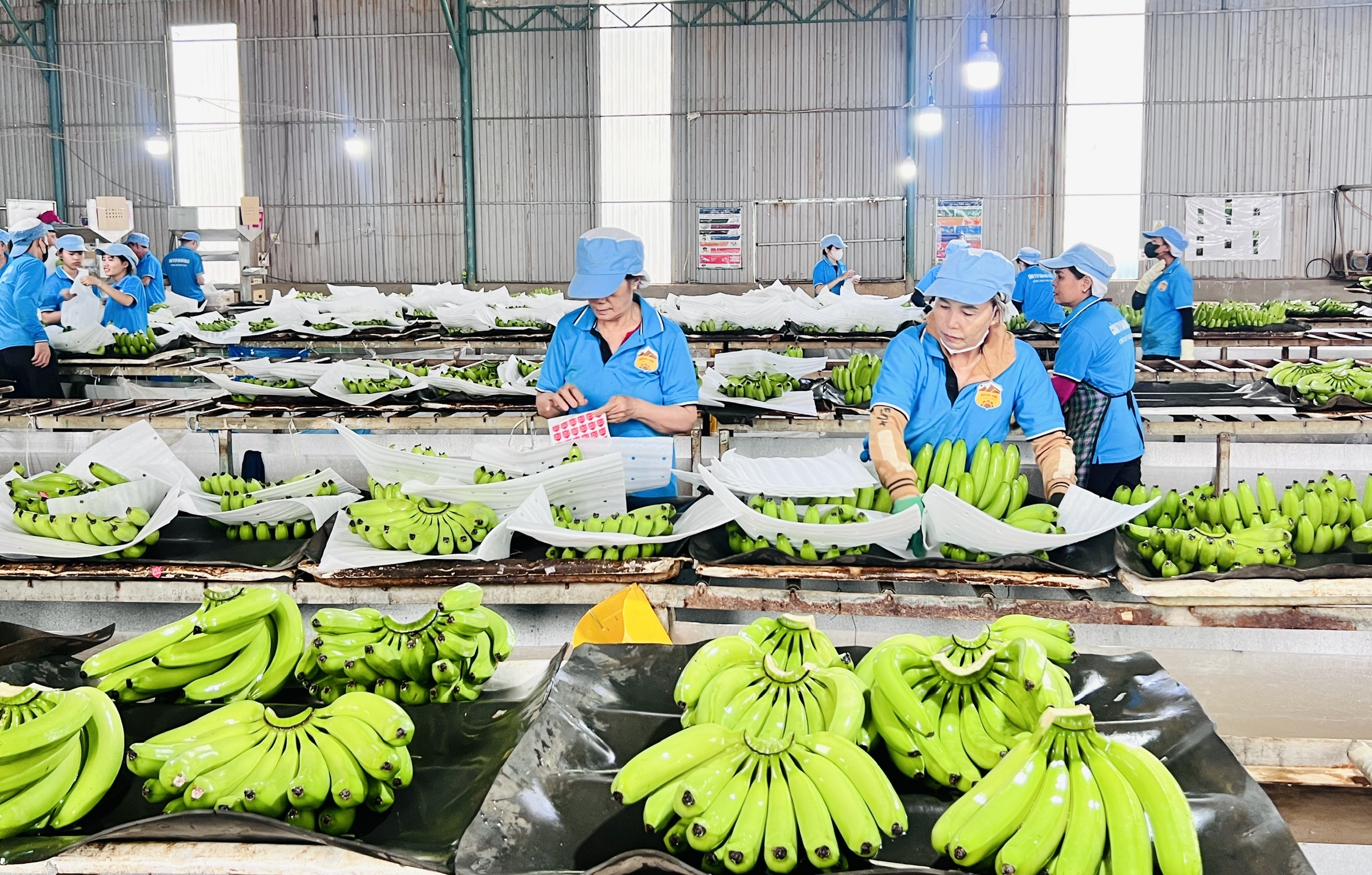 Gia Lai: Công nghiệp, thương mại tăng trưởng ấn tượng trong 9 tháng