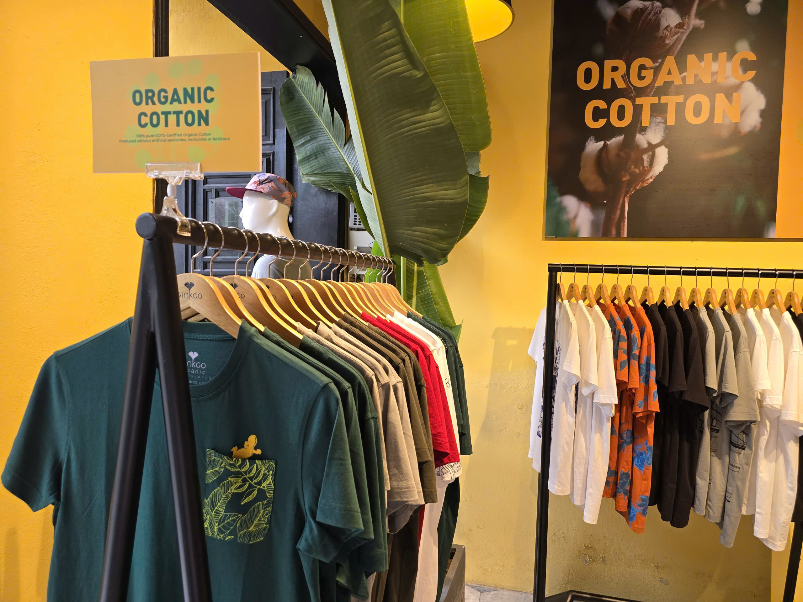 Nhãn xanh: Động lực mới cho sản xuất bền vững và xuất khẩu dệt may