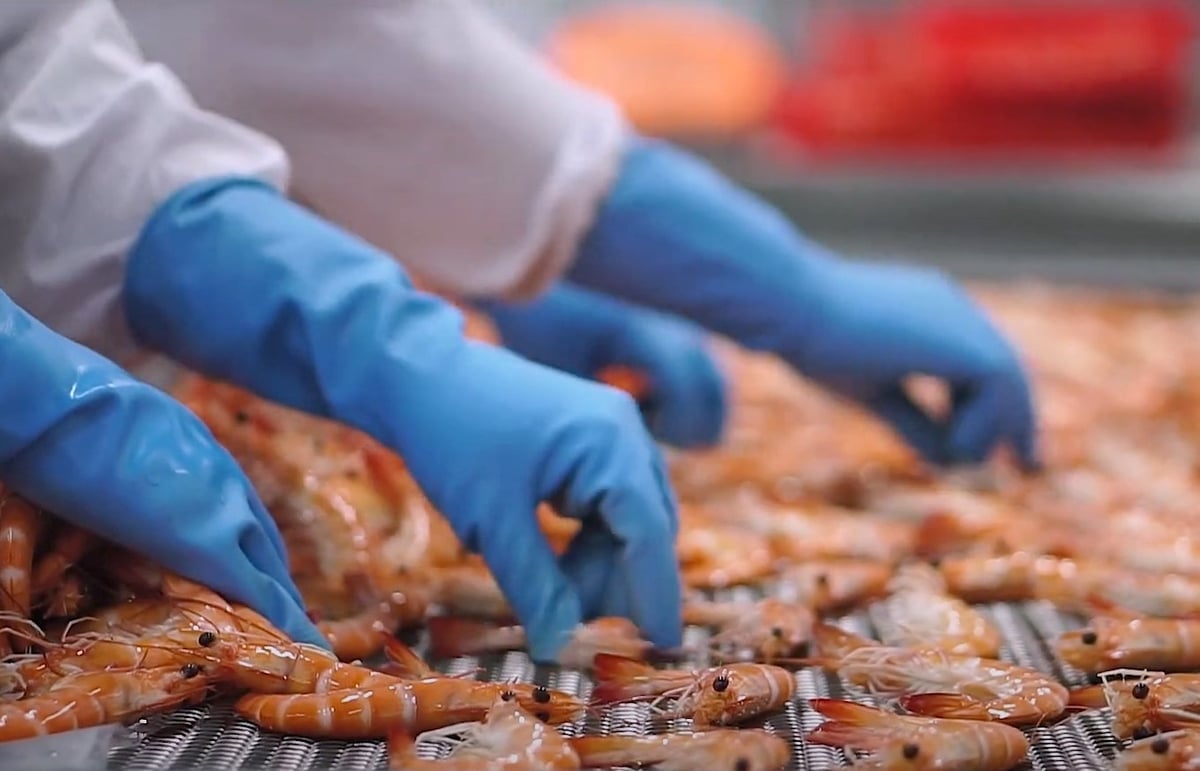 Xuất khẩu sang các nước CPTPP đạt 19,1 tỷ USD nhờ ưu đãi thuế quan