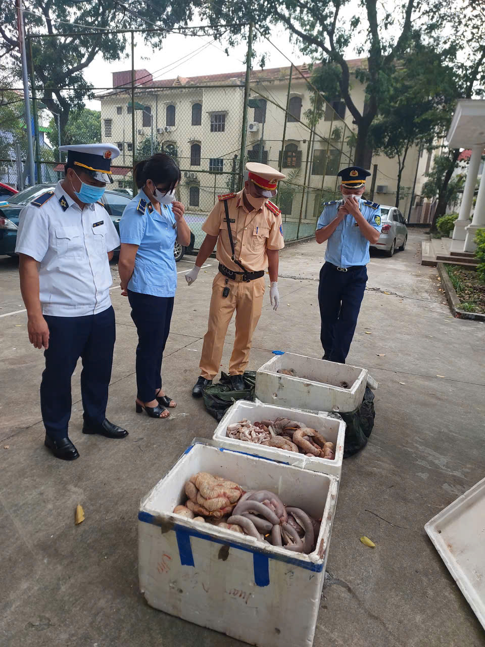 Phú Thọ: Phát hiện 156 kg nội tạng bốc mùi, kịp thời xử lý