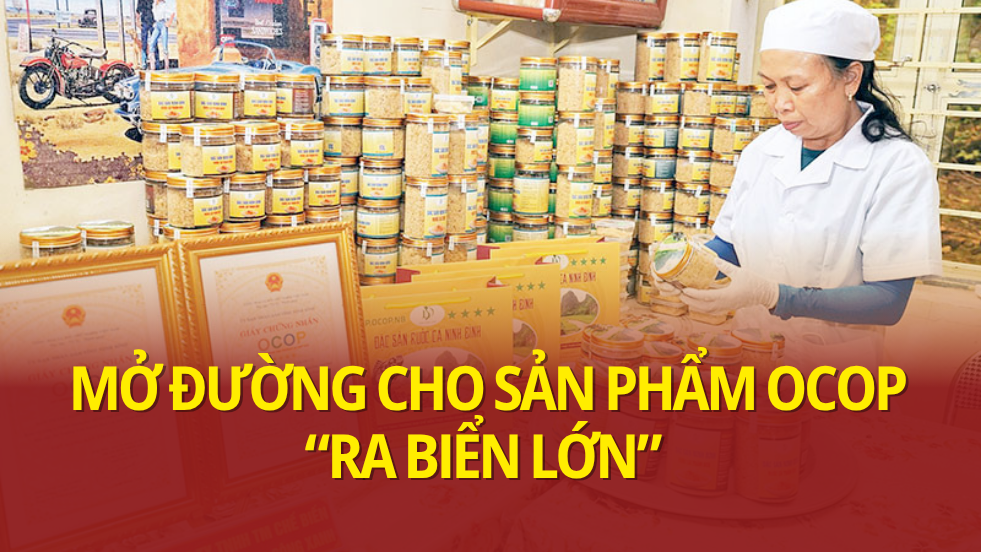 Mở đường cho sản phẩm OCOP 'ra biển lớn'